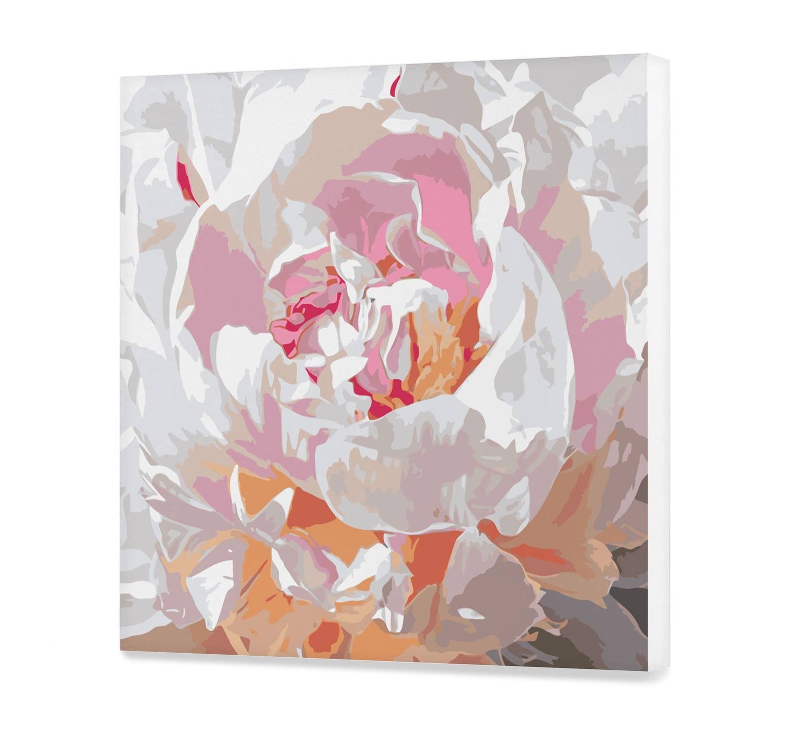 Peony (Cdc0169)