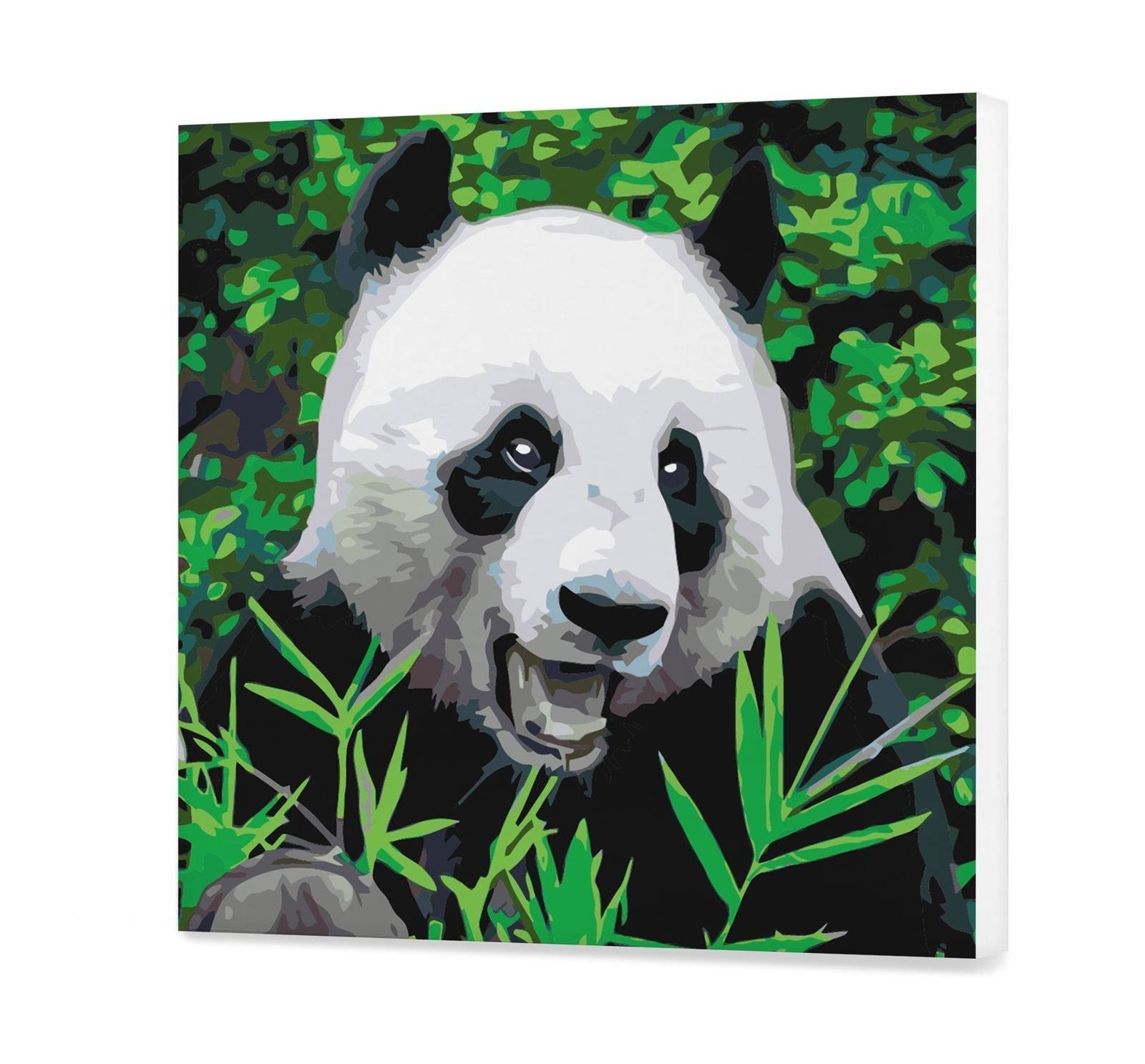 Panda Number (Pc0597)