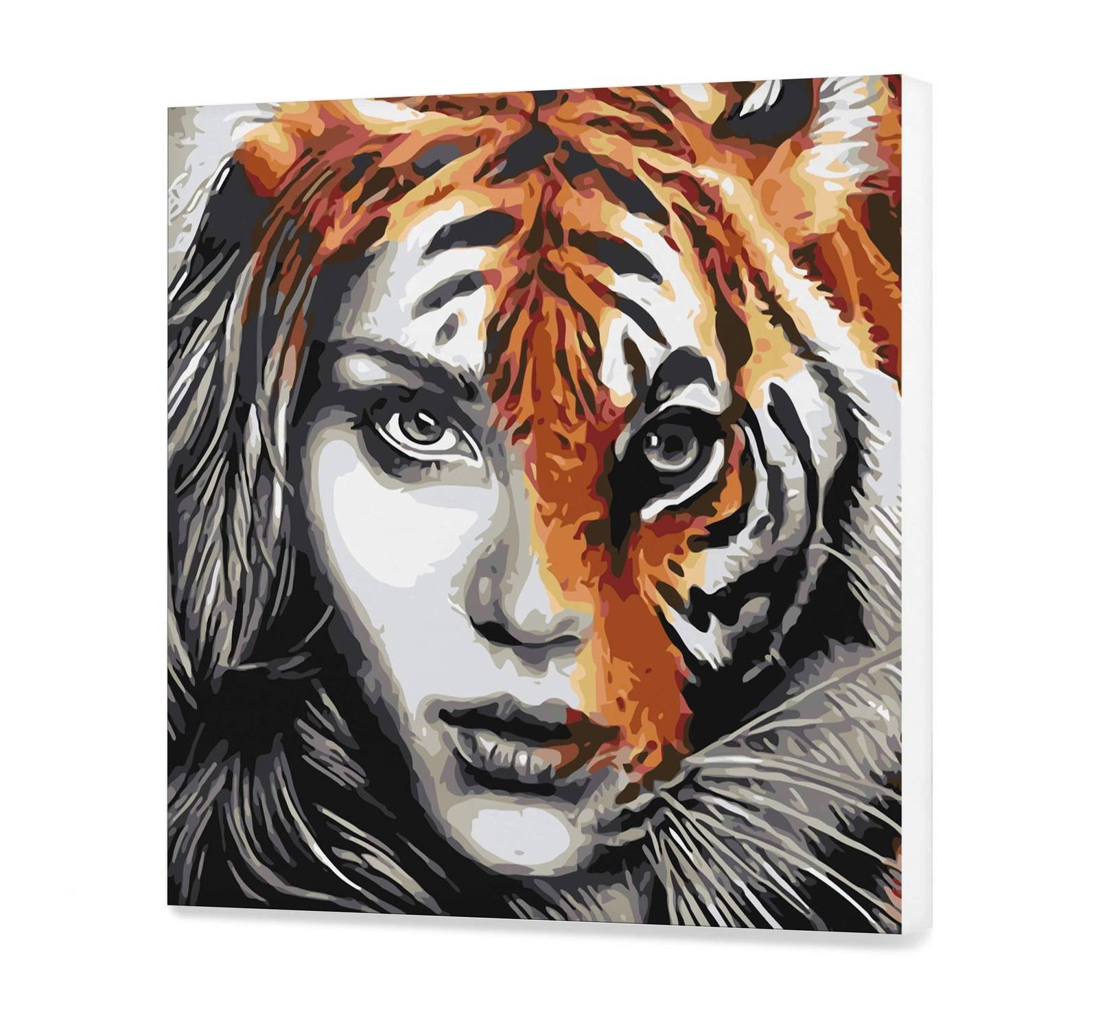 Female Tiger (Cdc0170)