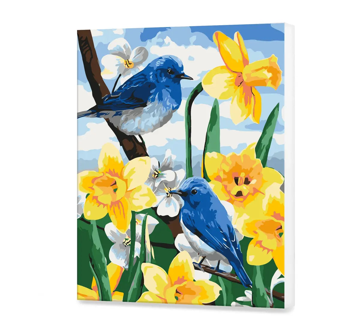 Modré vtáky na kvety